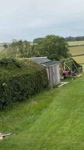 It was a many red kites kind of morning. Here are a couple for you filmed from my bedroom window.
Just out of shot were a cou...