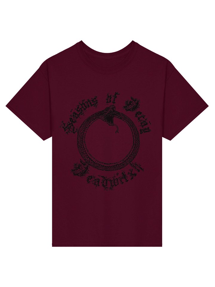 Seasons of Decay tee product image (4)