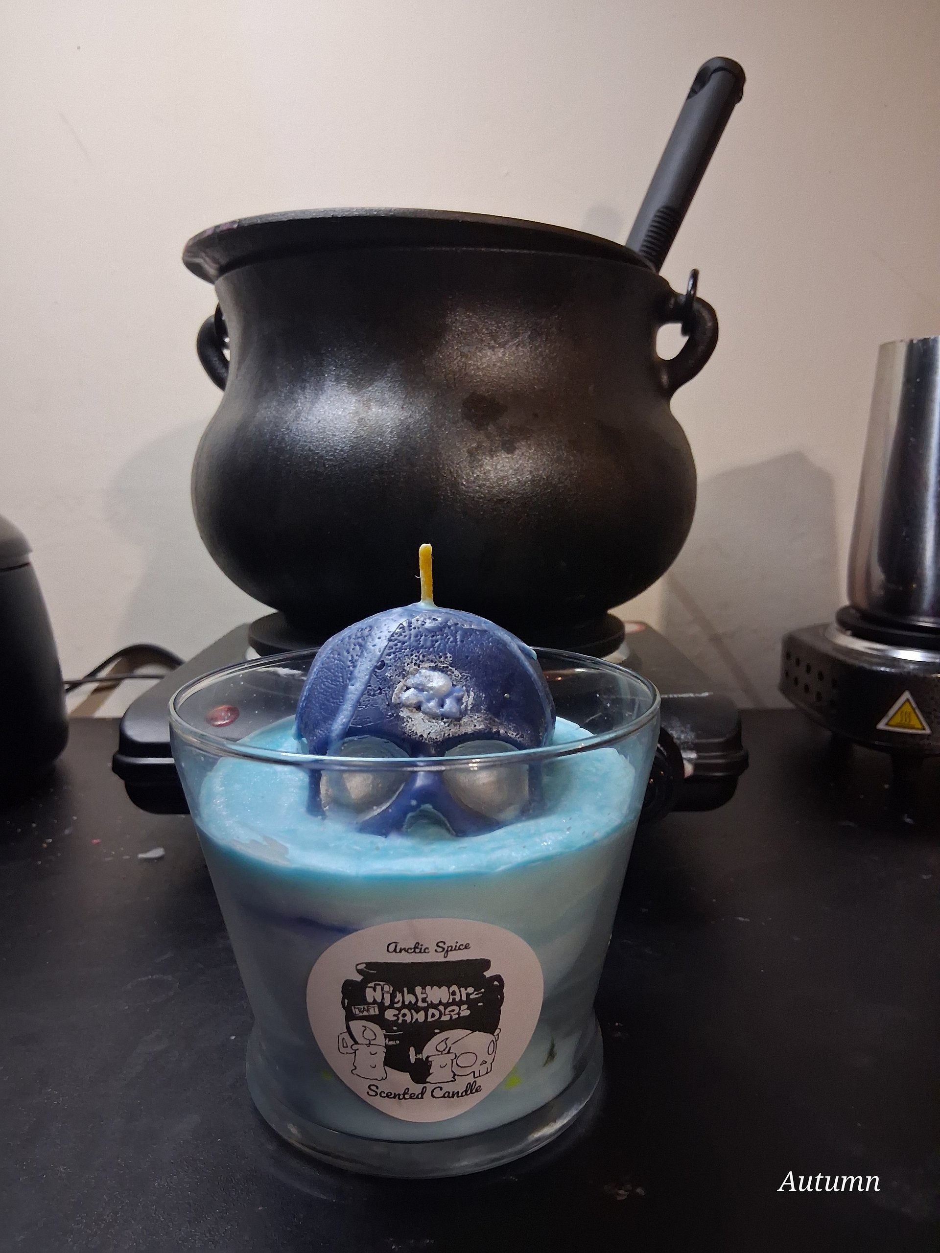 Arctic Spice Candle product image (1)