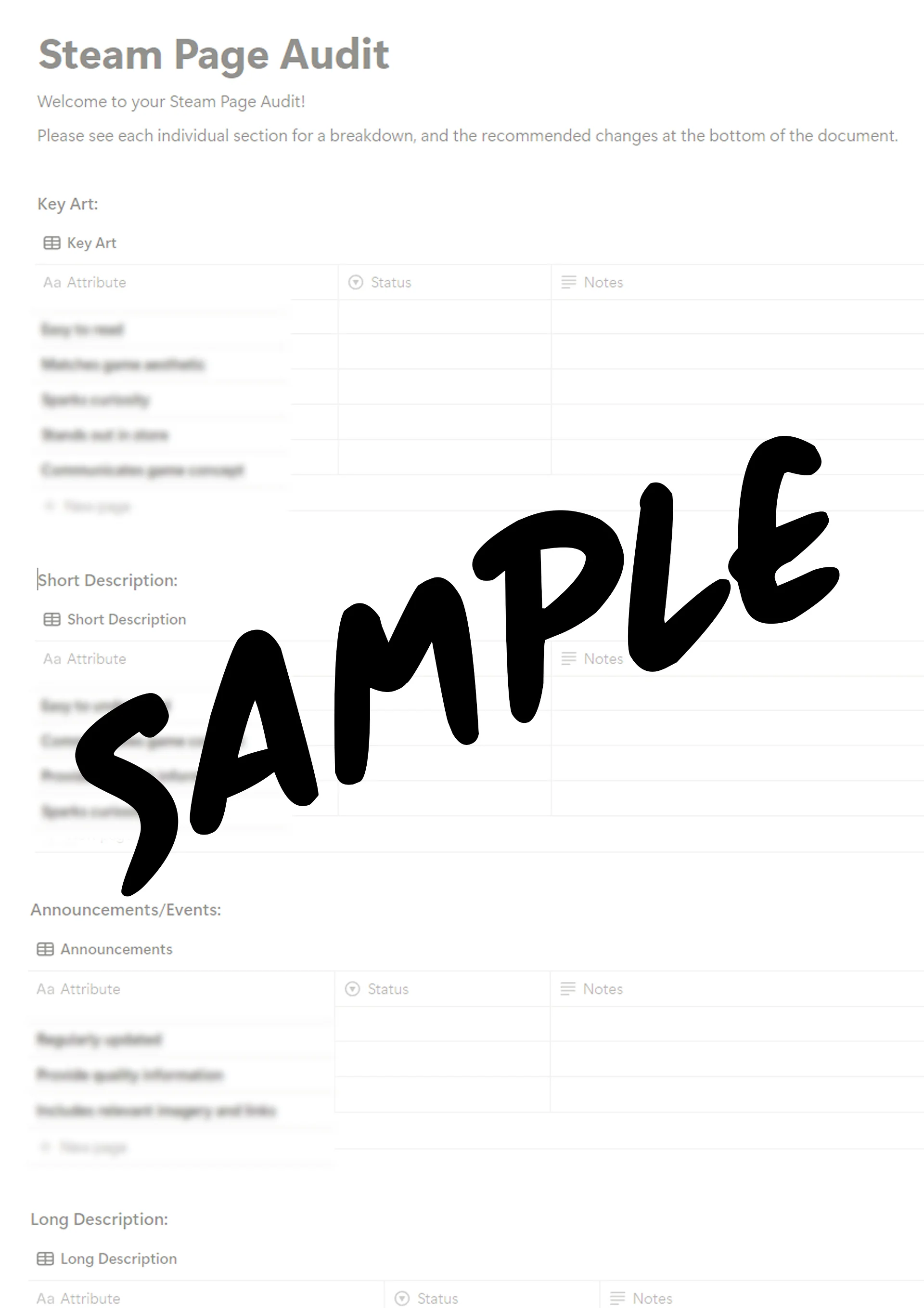 Steam Page Audit product image (2)