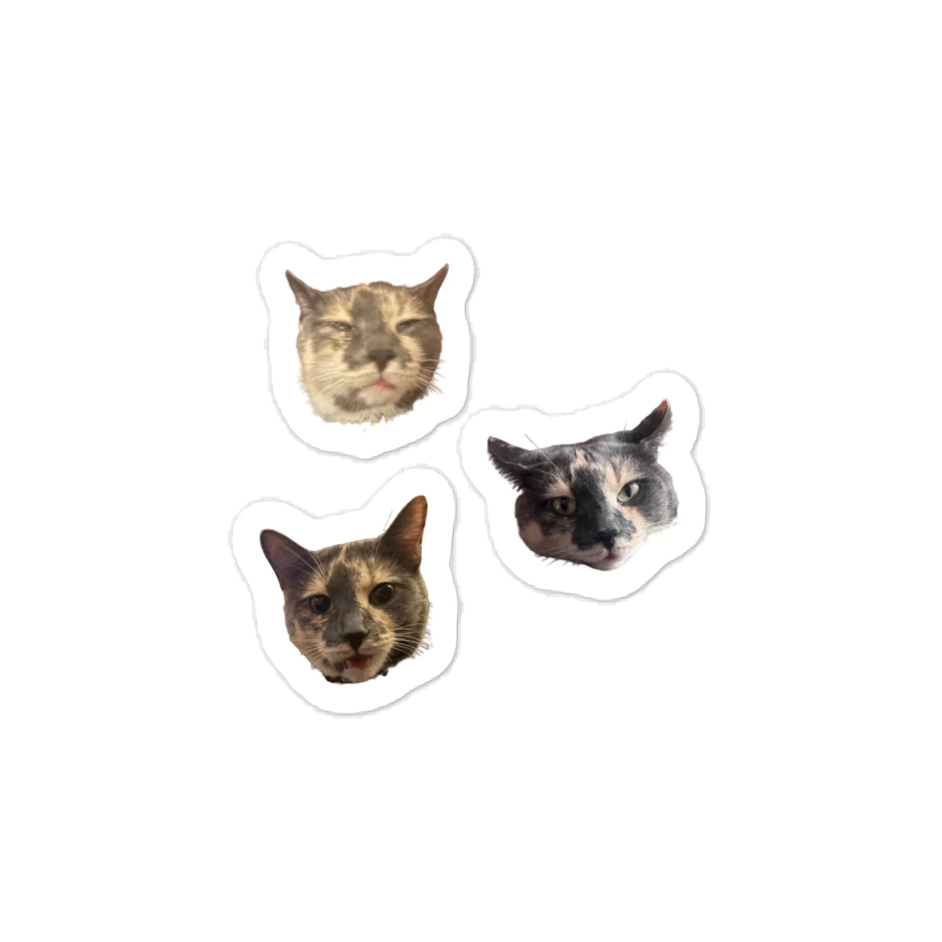 Kitty Face Stickers (Set of 3) product image (1)