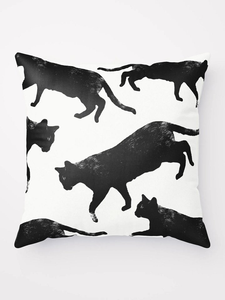 Stray Cat Pillow Cover product image (1)