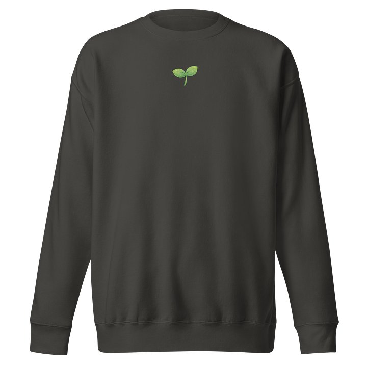 Sprout Embroidered Comfy Sweatshirt product image (1)