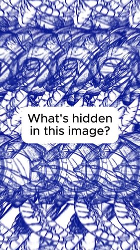 What's hidden? Can you see it?