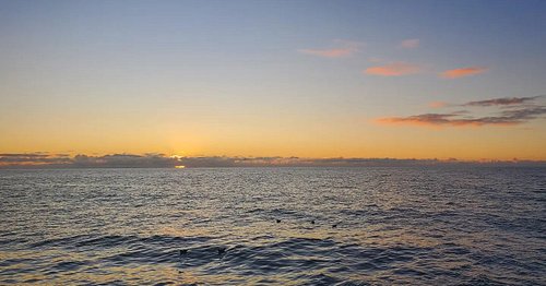 We are super excited to be out with @faroutocean on a miltiday offshore survey! We'll be surveying for all types of marine me...