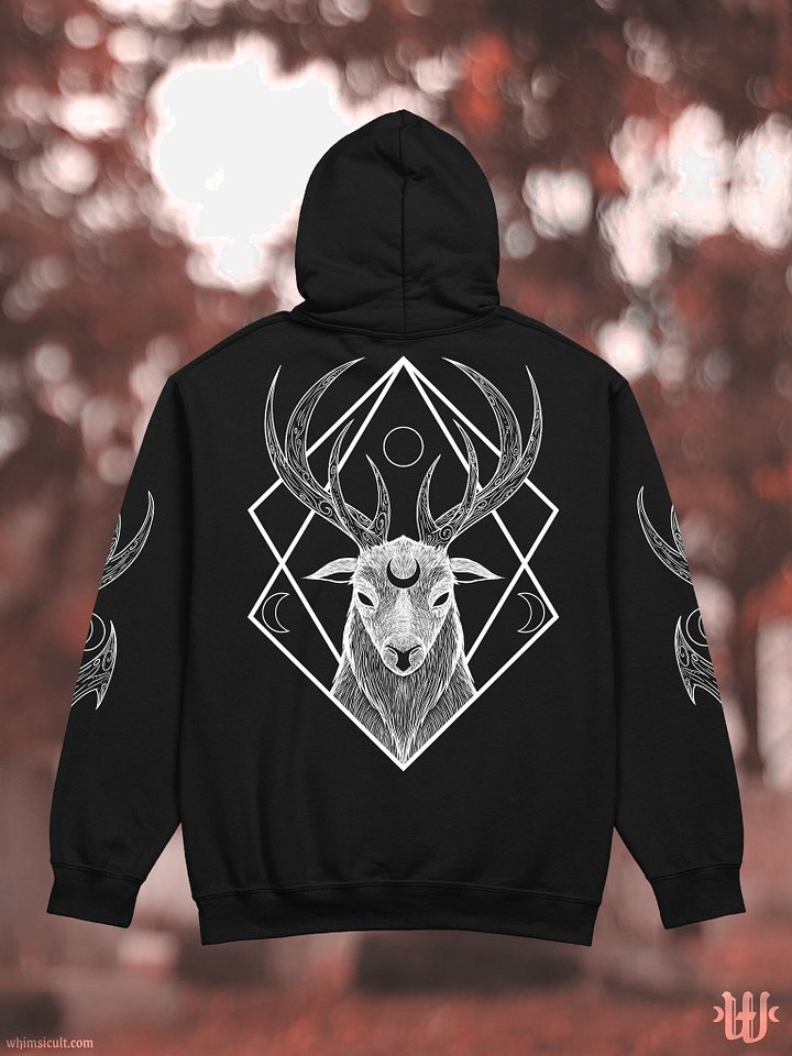 Lunaris Hoodie product image (1)