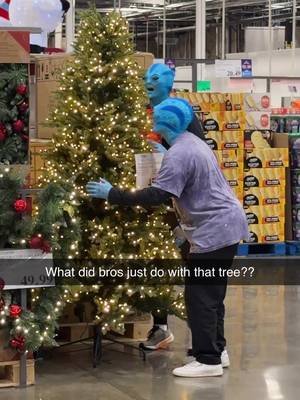 We finally obtained a tree just in time for the human celebration of Christmas! #christmasdecor 