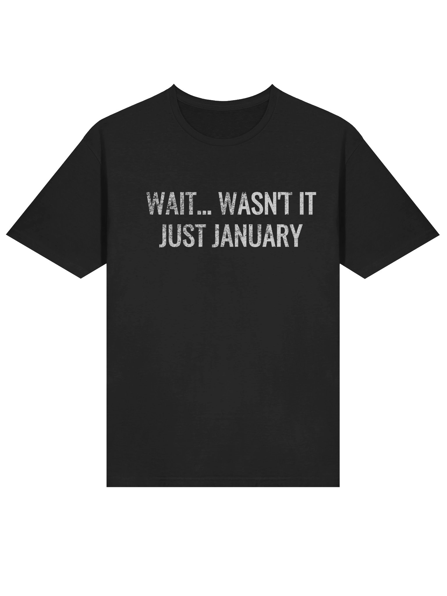 Funny Unisex T-Shirt 2025 - Wait… wasn’t it just January? product image (3)