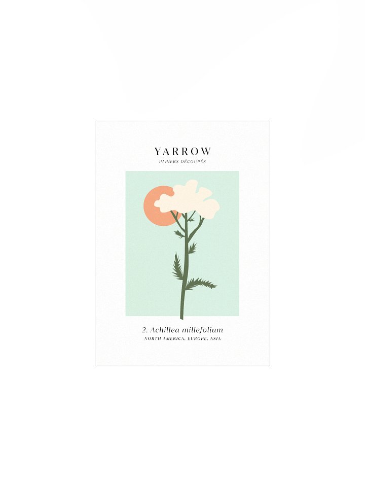 Yarrow Cut Paper Native Plants ✷ Art Print product image (1)