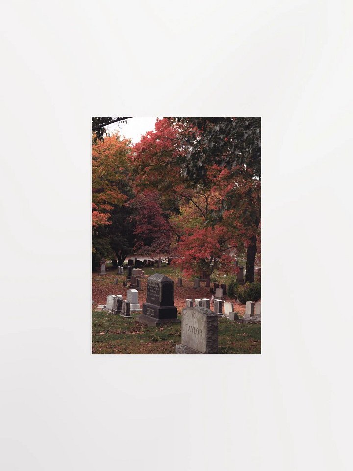 Salem Headstones Matte Print product image (1)