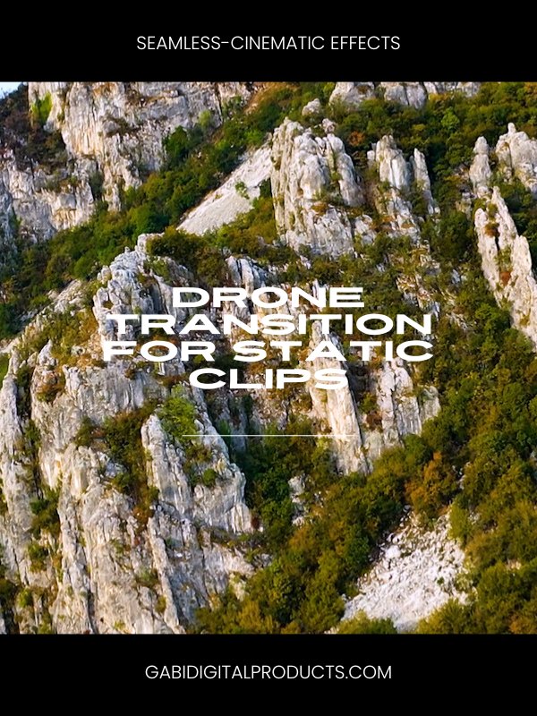MRR/PLR Premiere SEAMLESS Transitions product image (3)