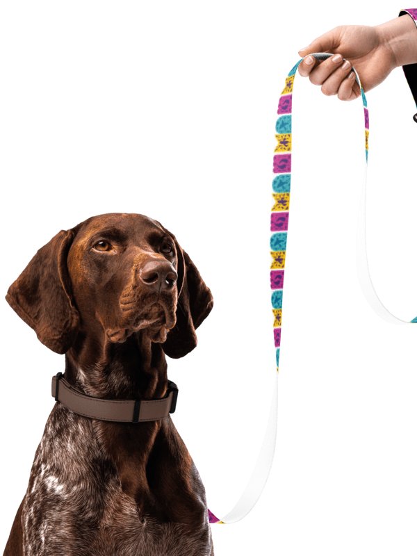 Juicey Tech Pet Leash + Collar product image (4)