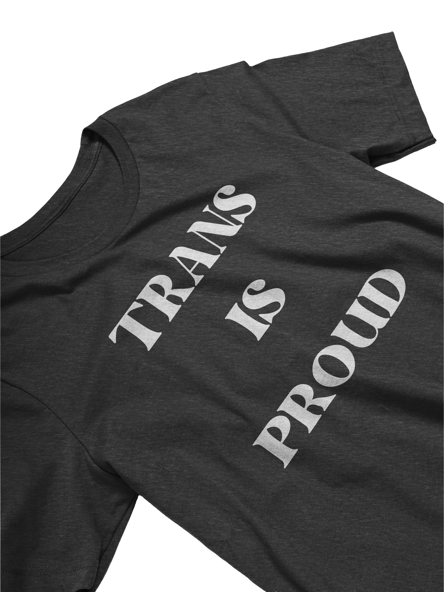 Trans is Proud product image (22)