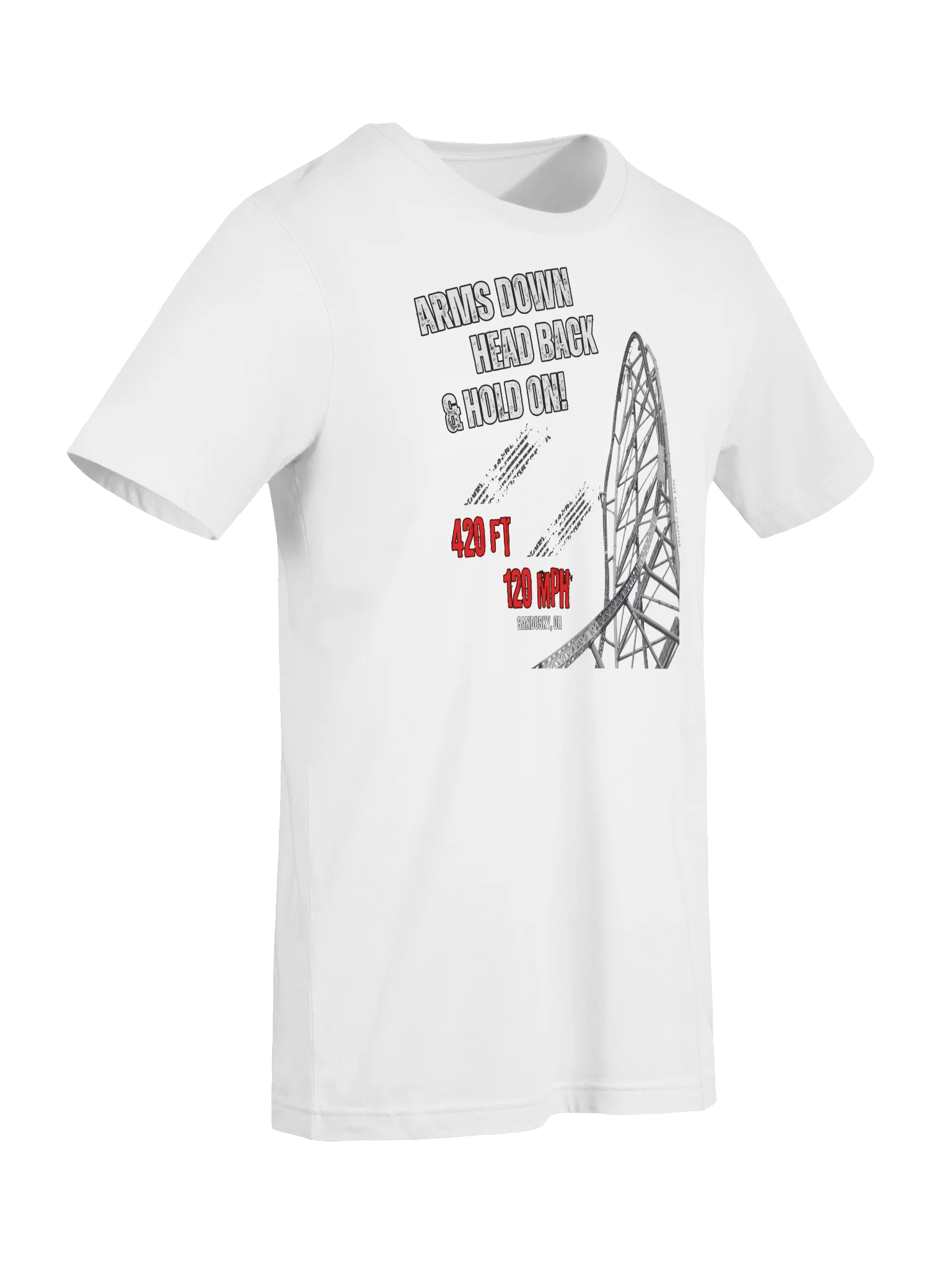 Arms Down, Head Back & Hold On - 420/120 Tee product image (42)