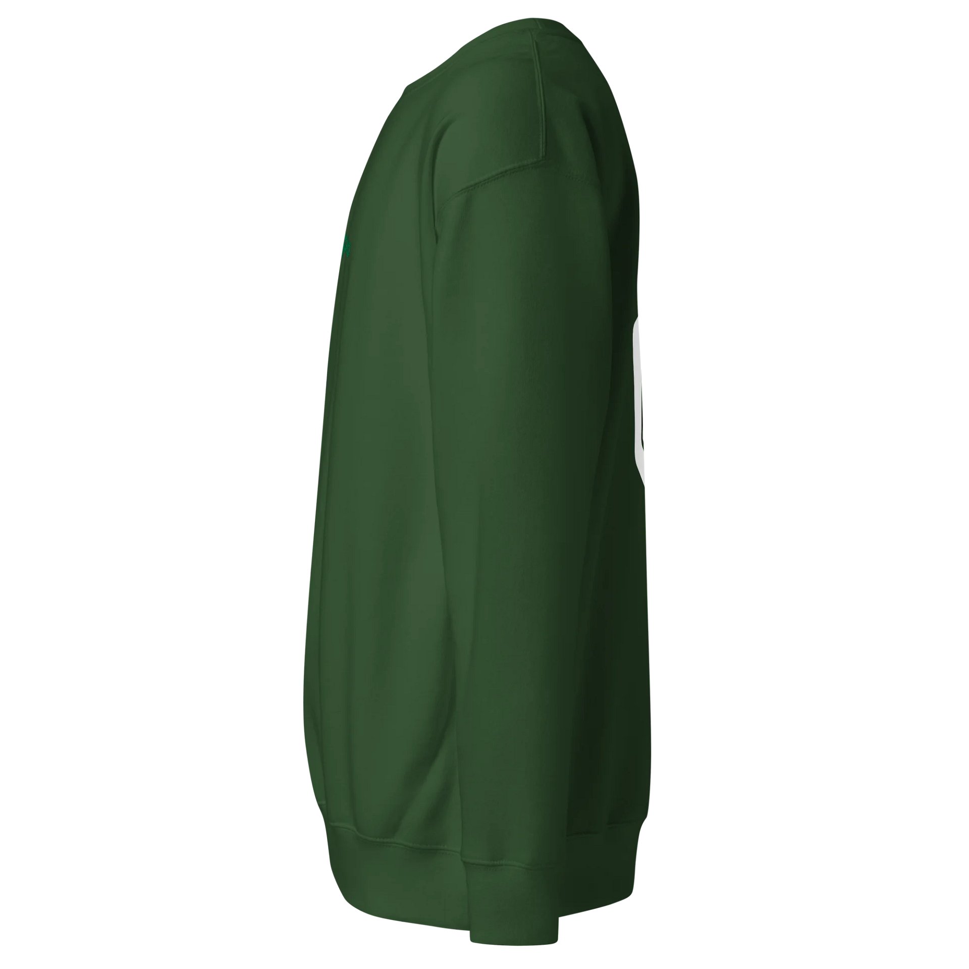Lymbo Embroidered Sweatshirt (Green) product image (3)