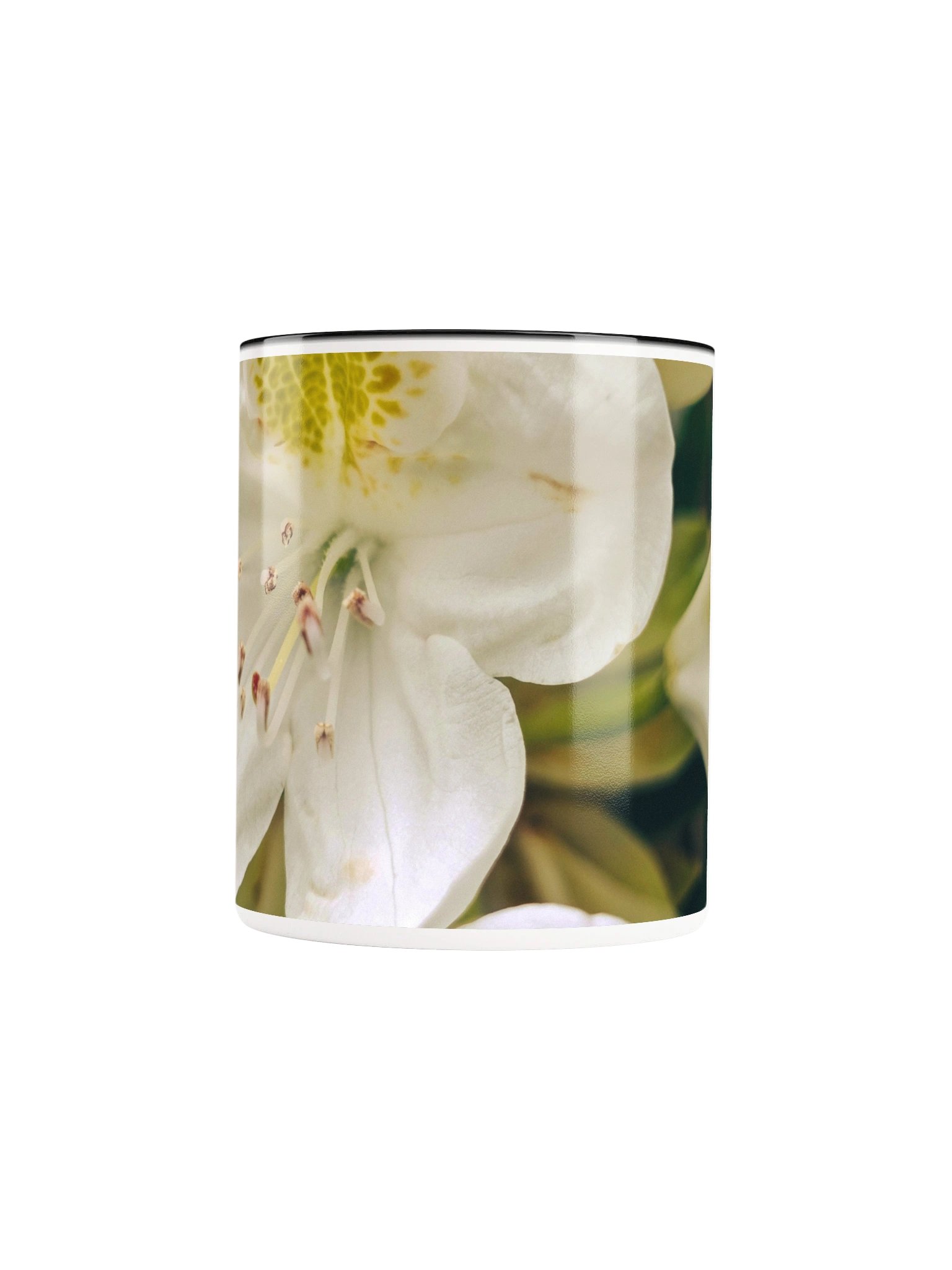 Rhododendron 2-tone Ceramic Mug product image (42)