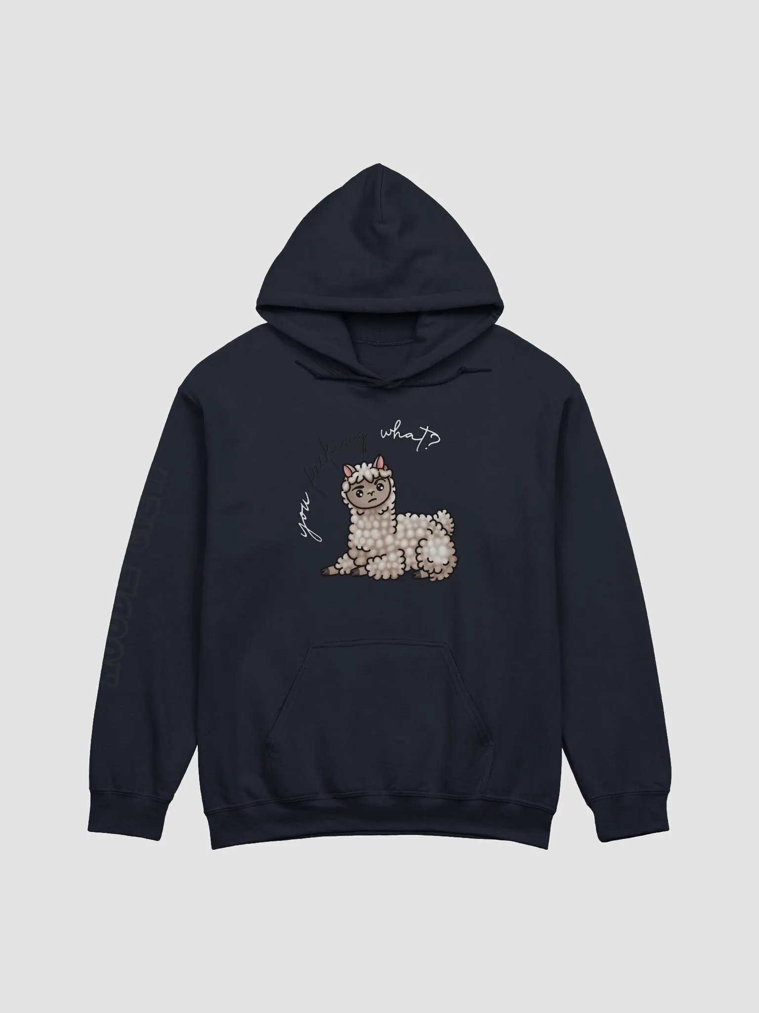 You What? Hoodie product image (1)