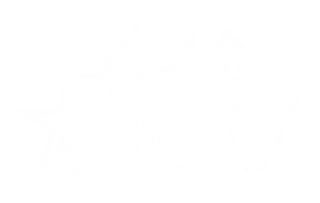 Baileymations