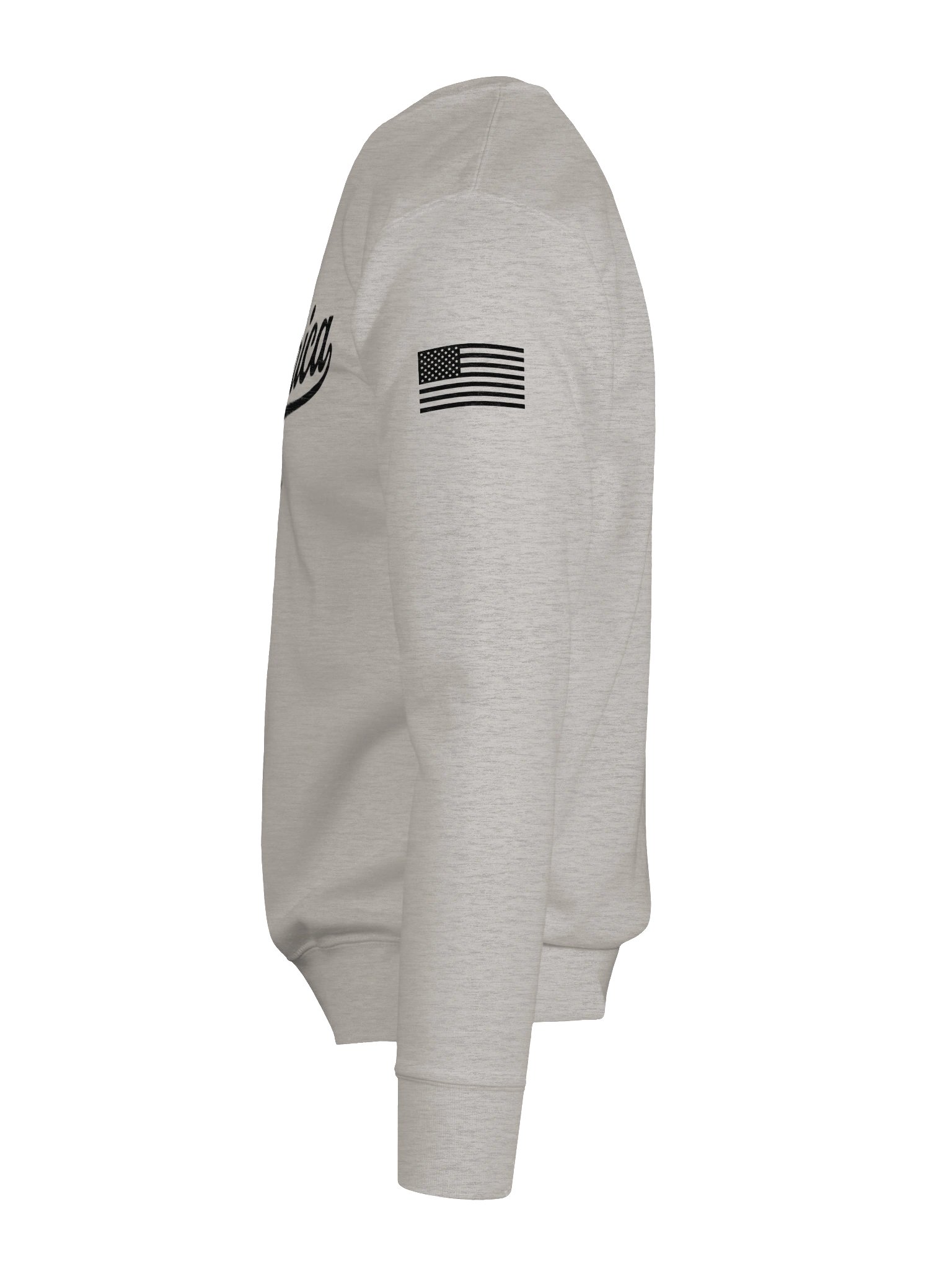 WTF AMERICA CREW SWEATSHIRT product image (12)