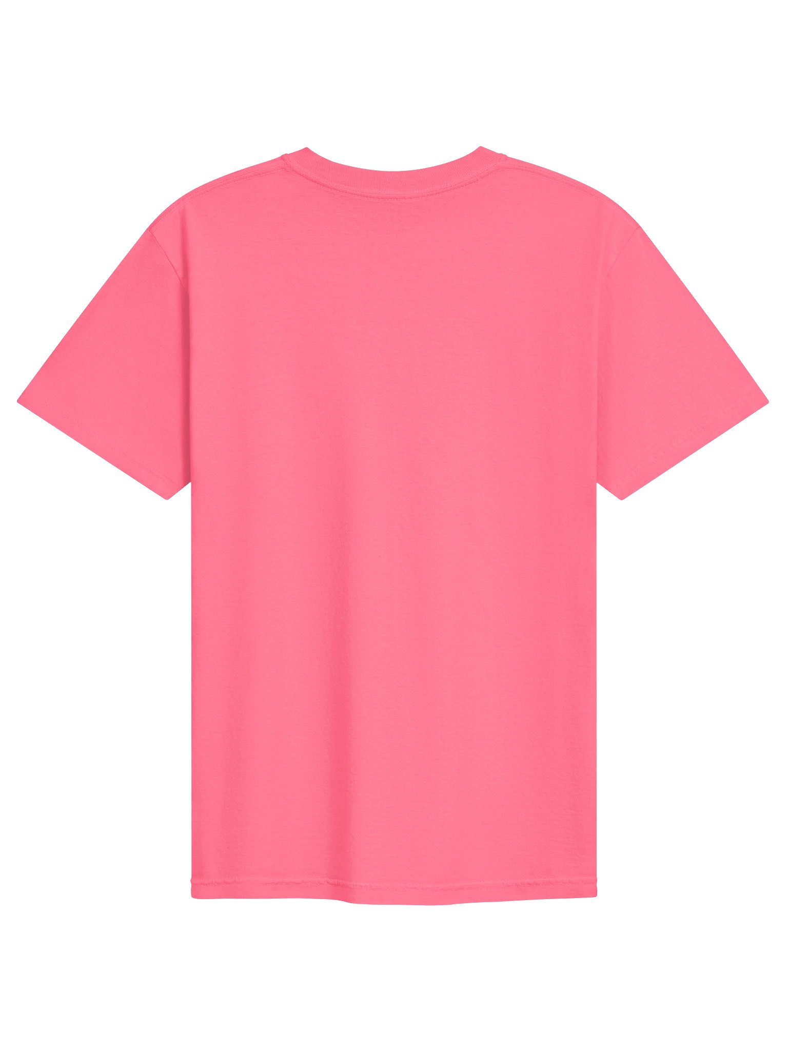 BrickVerse PINK PRIDE product image (2)