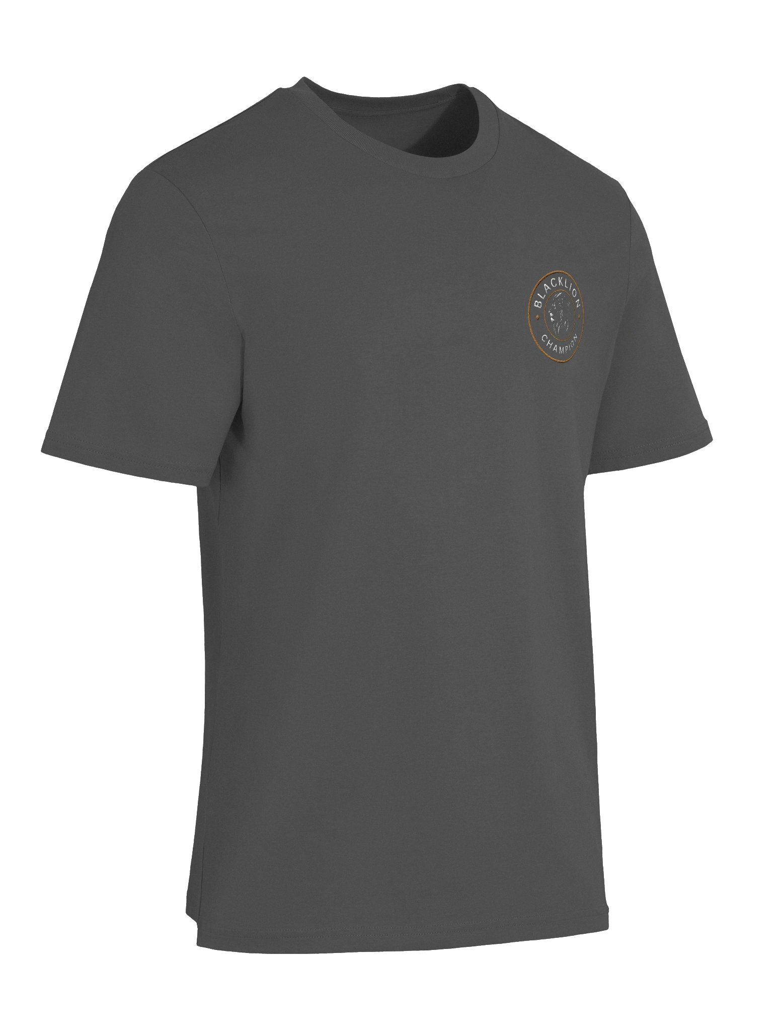 BLACK LION CHAMPION MINIMAL TEE product image (26)