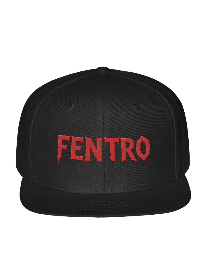 FENTRO SNAPBACK product image (1)