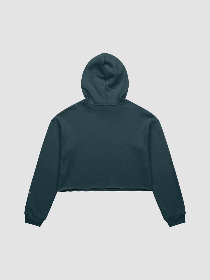 Golden Gate Park Raccoons Crop Top Hoodie (Assorted Colors) product image (2)