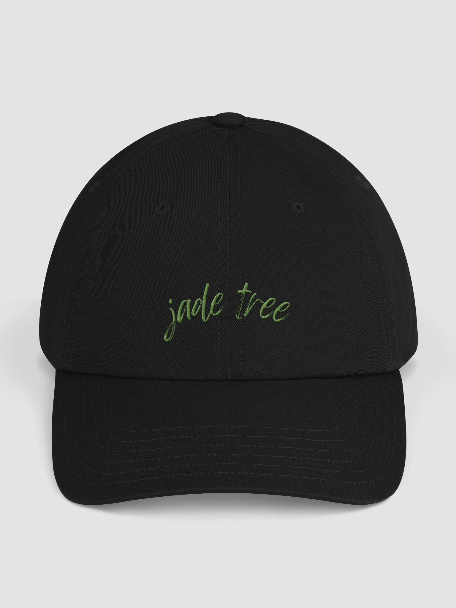 Under Armour® Dad Hat With Embroidered Logo product image (1)