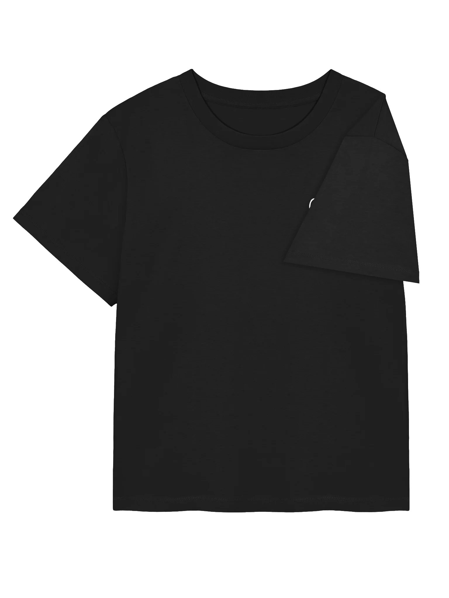 Embroided t-shirt (Women) product image (4)