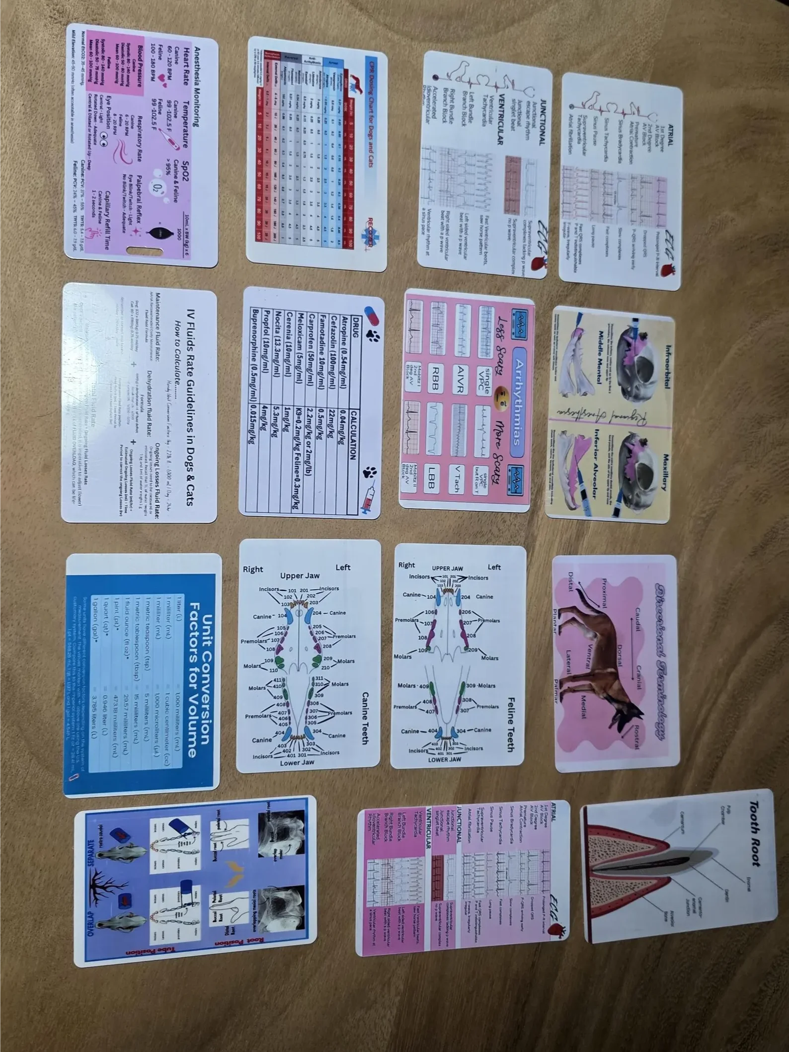 Vet/Vet Tech/Vet Nurse Badge Cheat Sheets product image (8)