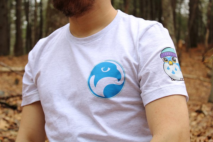 Falconeer T-Shirt product image (1)