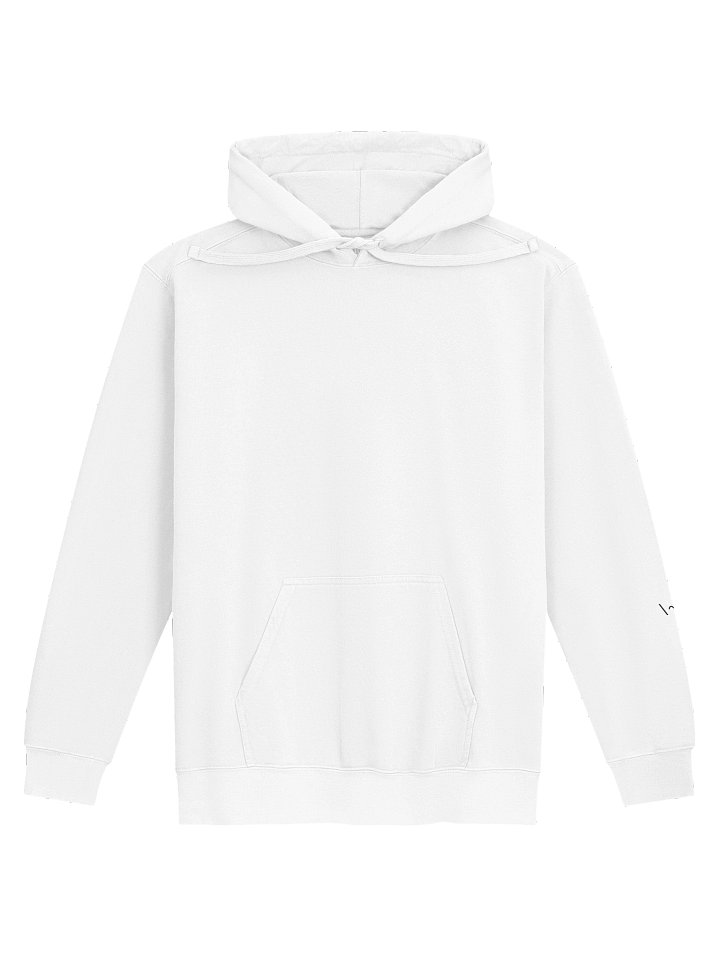 Positive Future // Garment-Dyed Hoodie product image (2)
