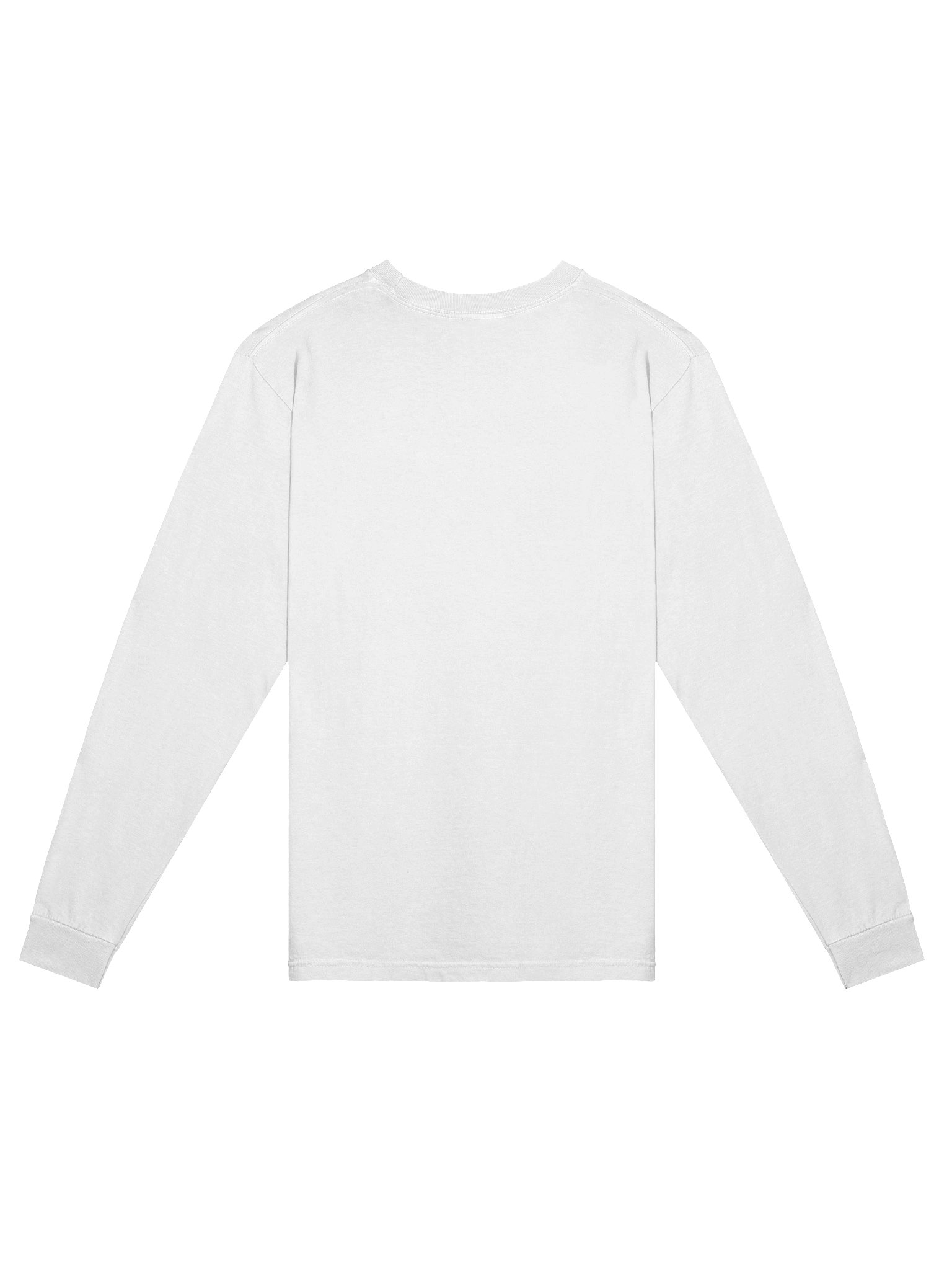 YSAGG Long Sleeve (Small Letters) product image (2)