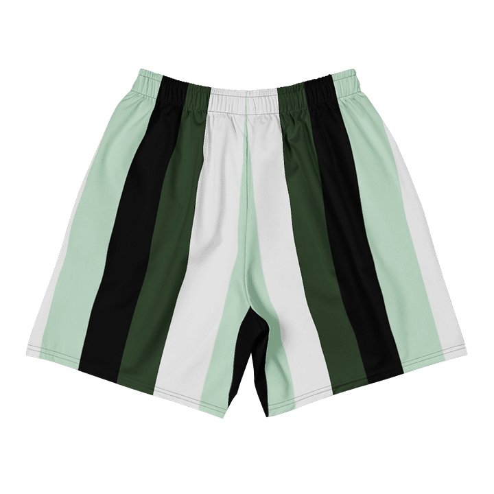 HIM Vintage Style Swim Shorts Green product image (2)