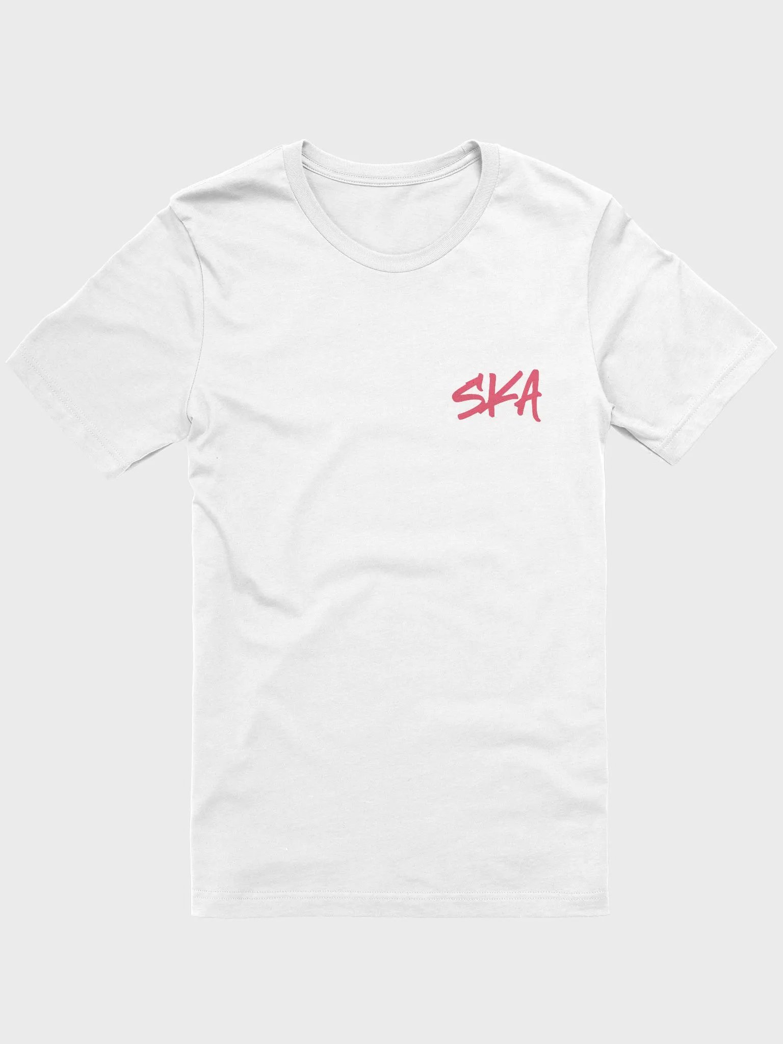 SKAvsTheWorld Offical Brand T-Shirt (Light) product image (22)