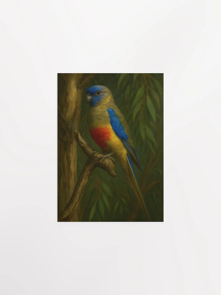 Blue Bonnet Parrot. product image (3)