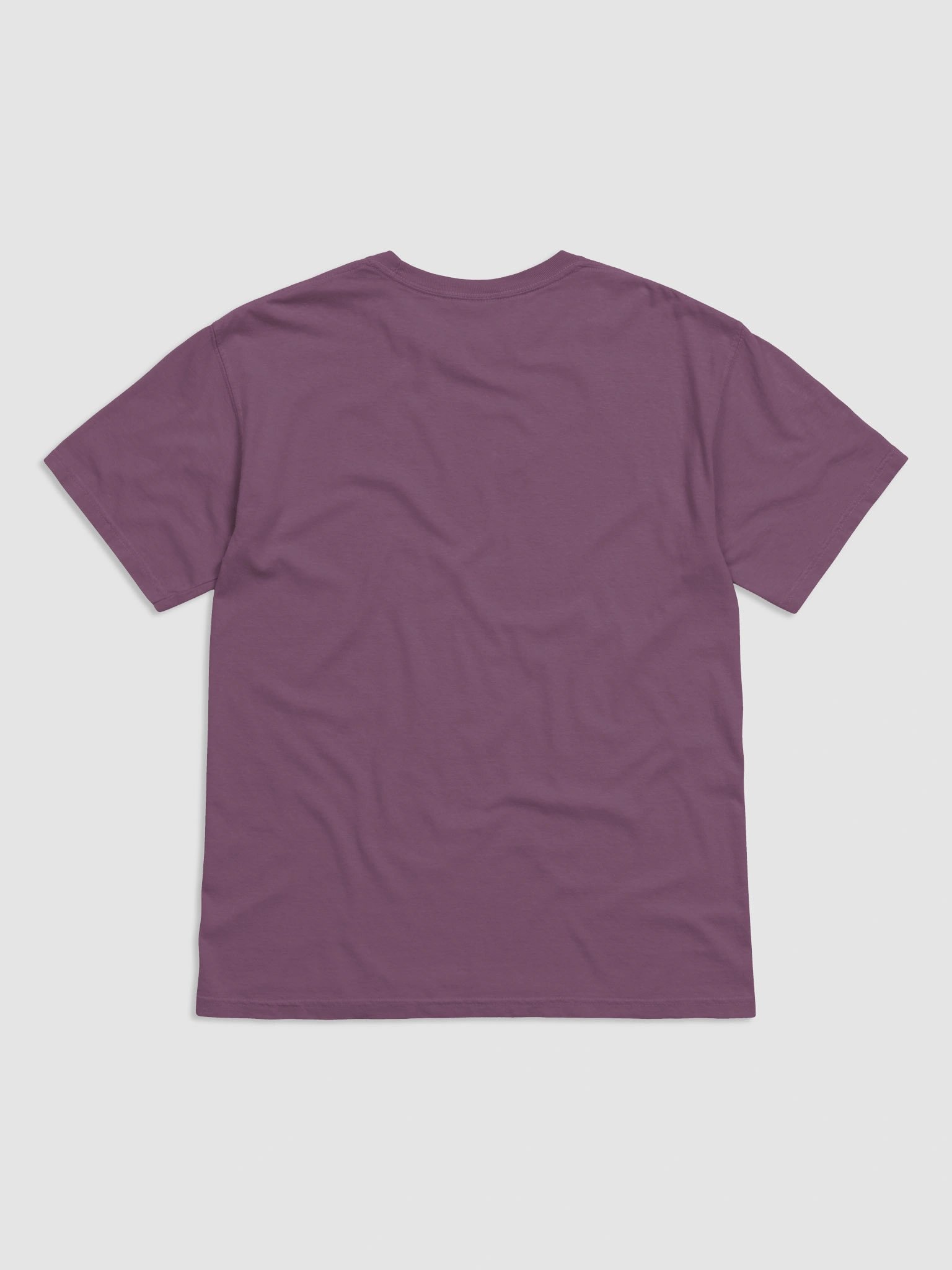 Straight & Narrow Path T-Shirt product image (3)