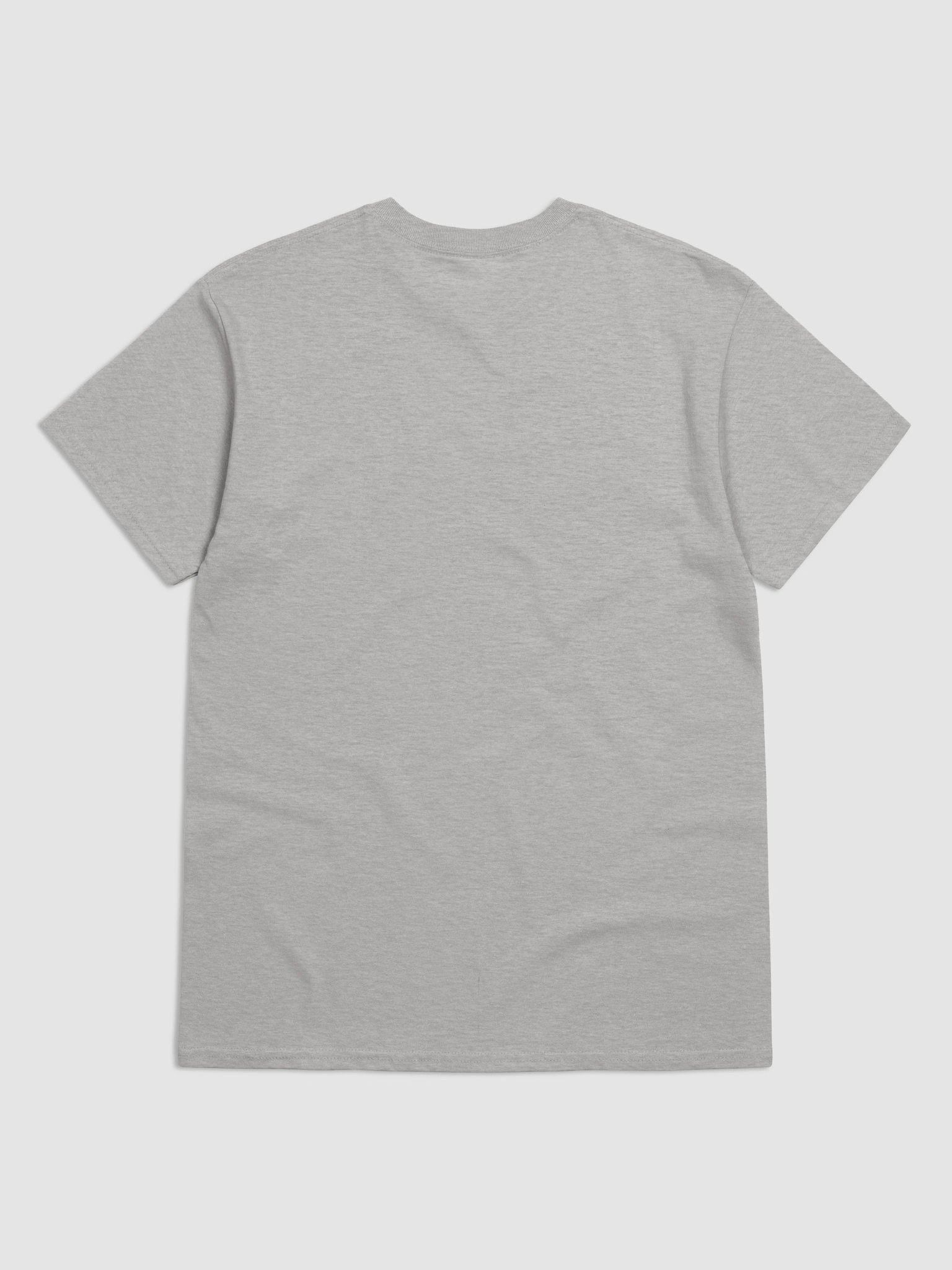 Surely Not Everybody Was Kung Fu Fighting Funny Graphic Tee product image (19)