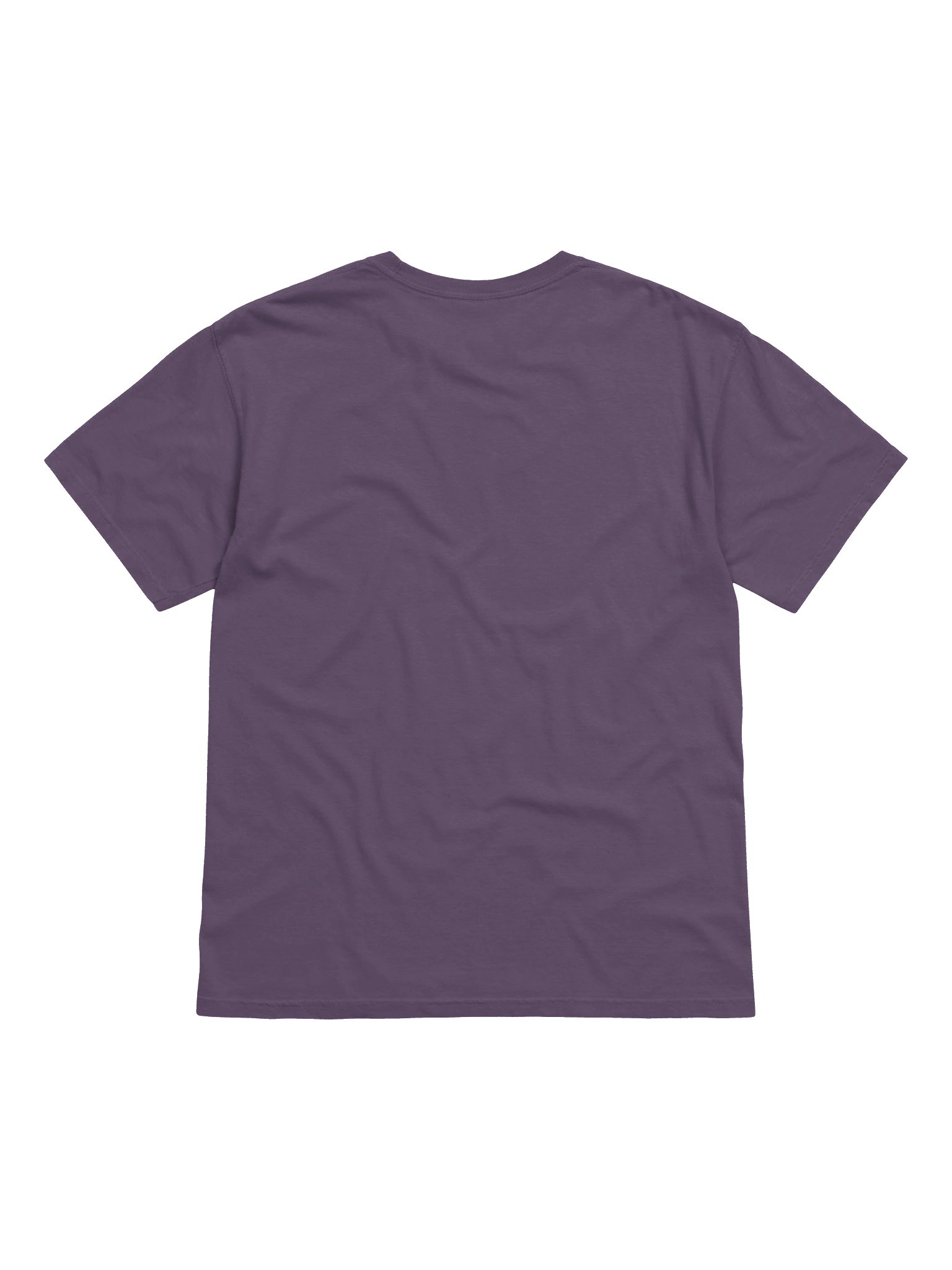 Adopt a Spider Heavyweight Vintage Graphic Tee product image (9)