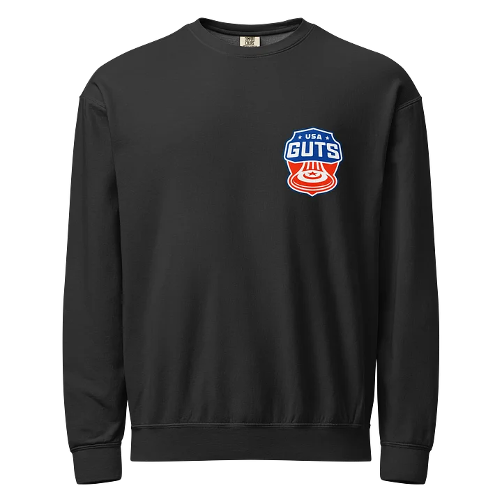 USA Guts Crewneck - Color Logo product image (1)