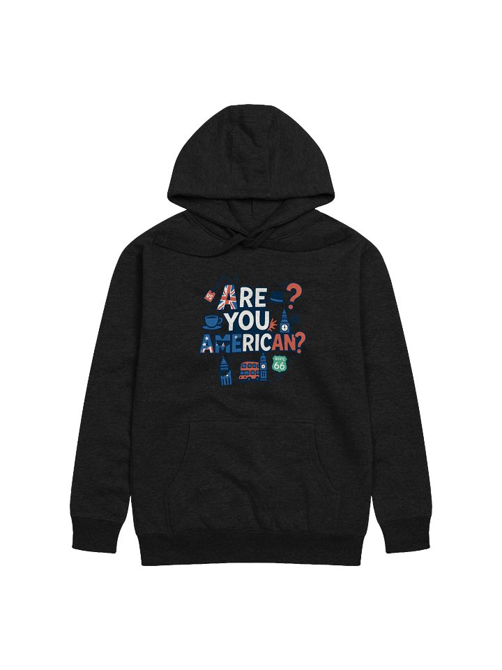"Are You American?" Premium Unisex Hoodie product image (5)