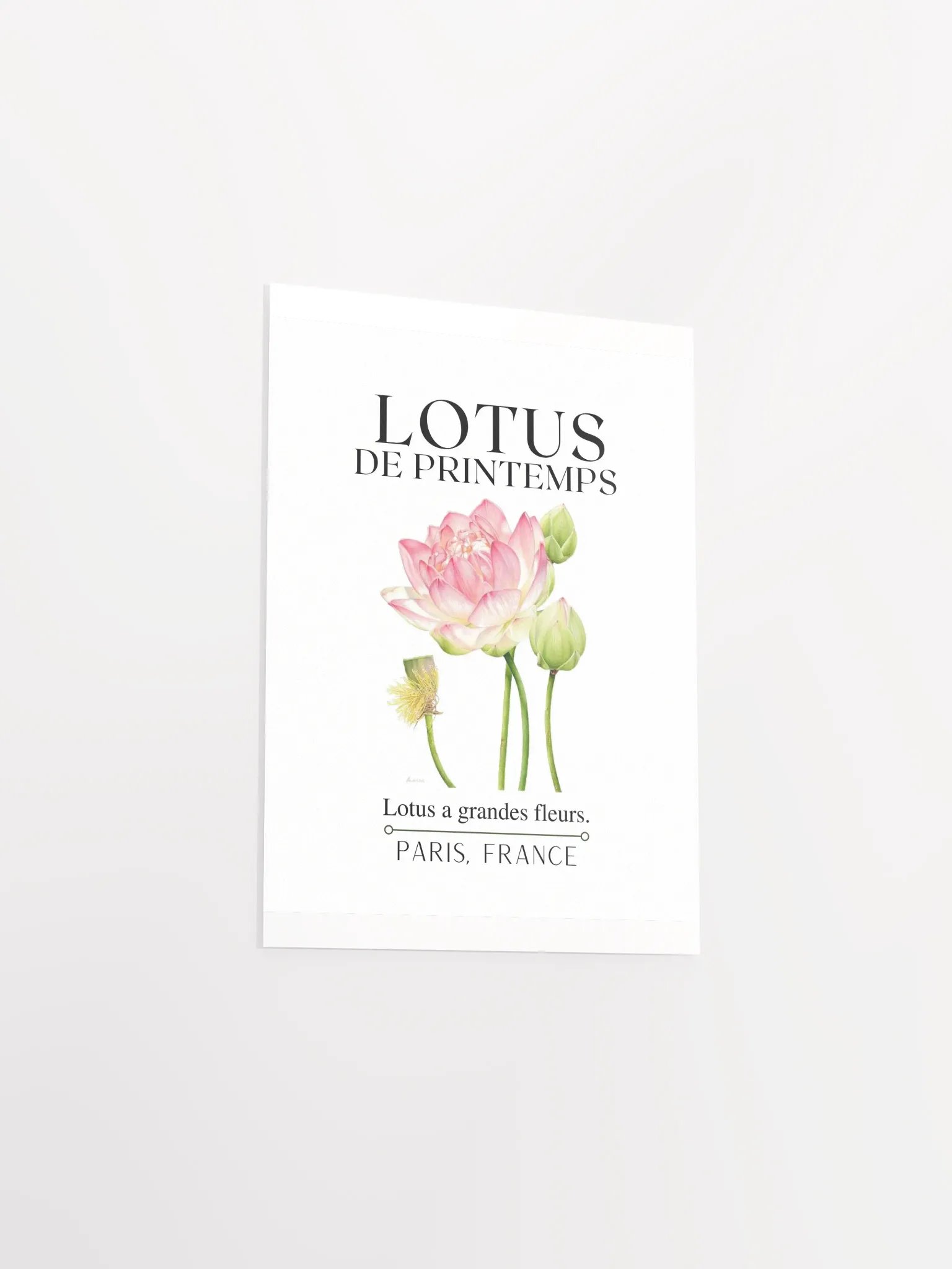 FLORAL PRINT- LOTUS product image (19)