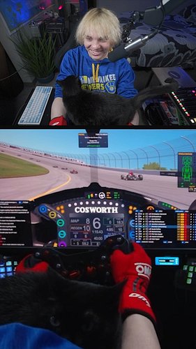 Cat in the cockpit during @votive_racing_league action:

#iracing #simracing #racing #cat