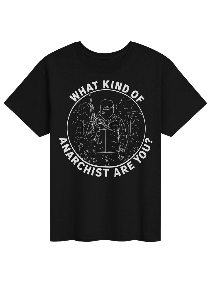 WHAT KIND OF ANARCHIST ARE YOU? product image (1)