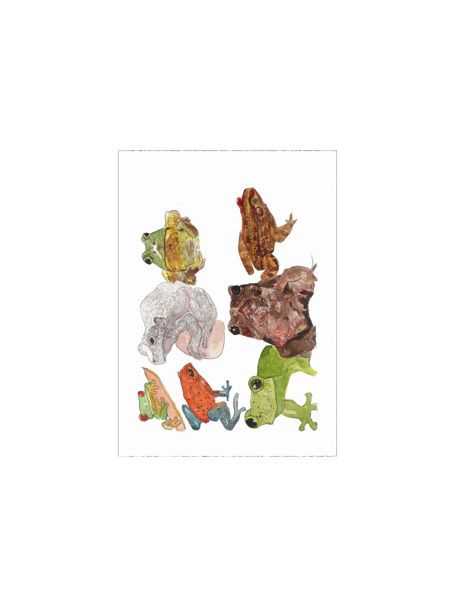 Frog Sketches Print product image (1)