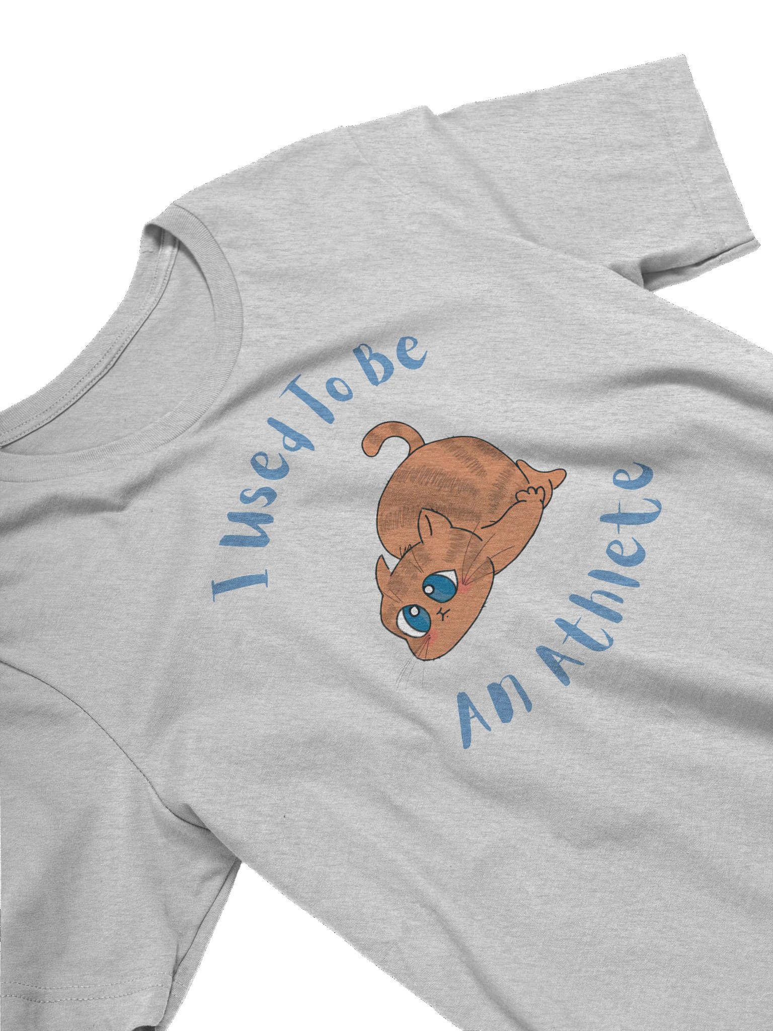 Chubby Cat Confession Tee product image (3)