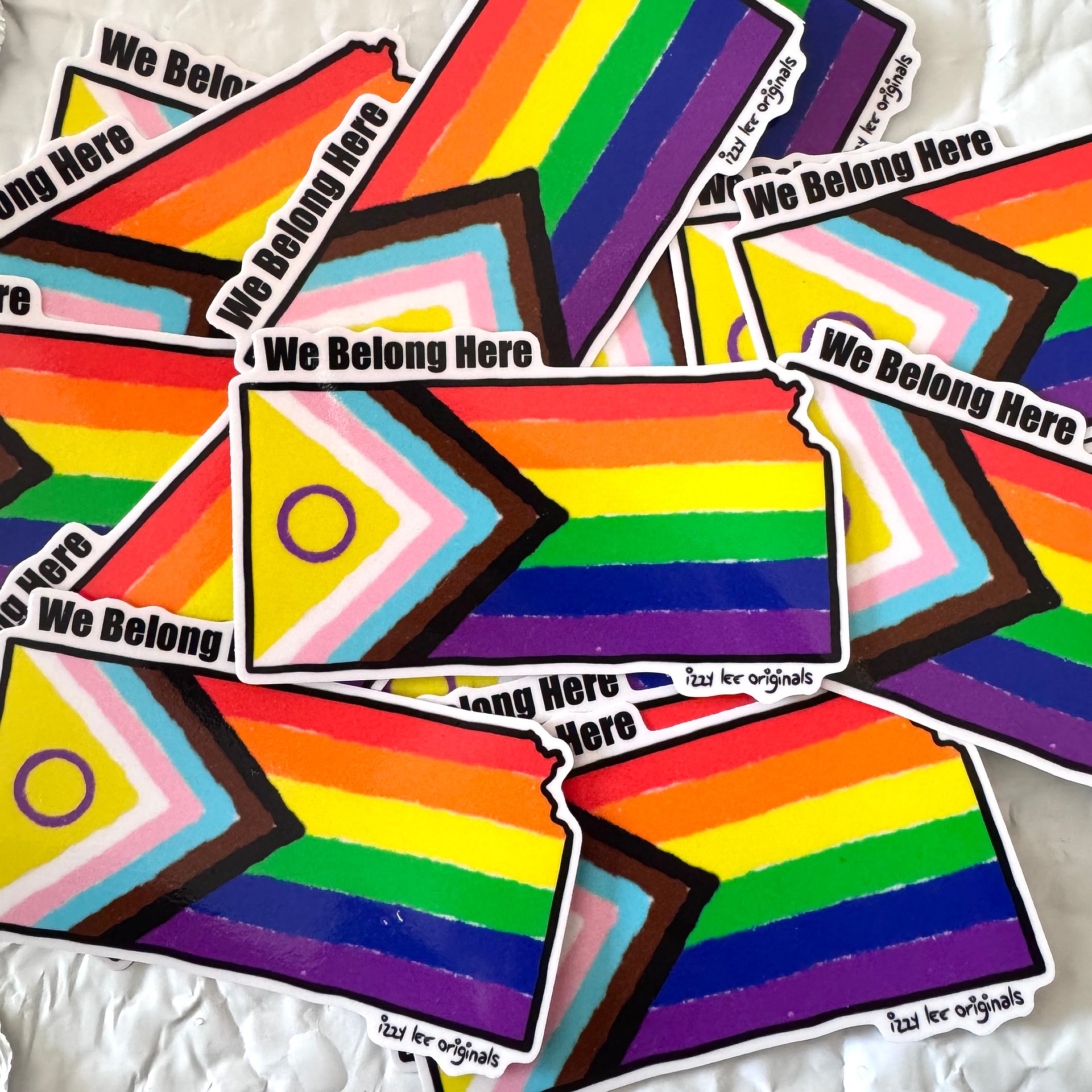 We Belong Here Sticker Bundles - Kansas product image (2)