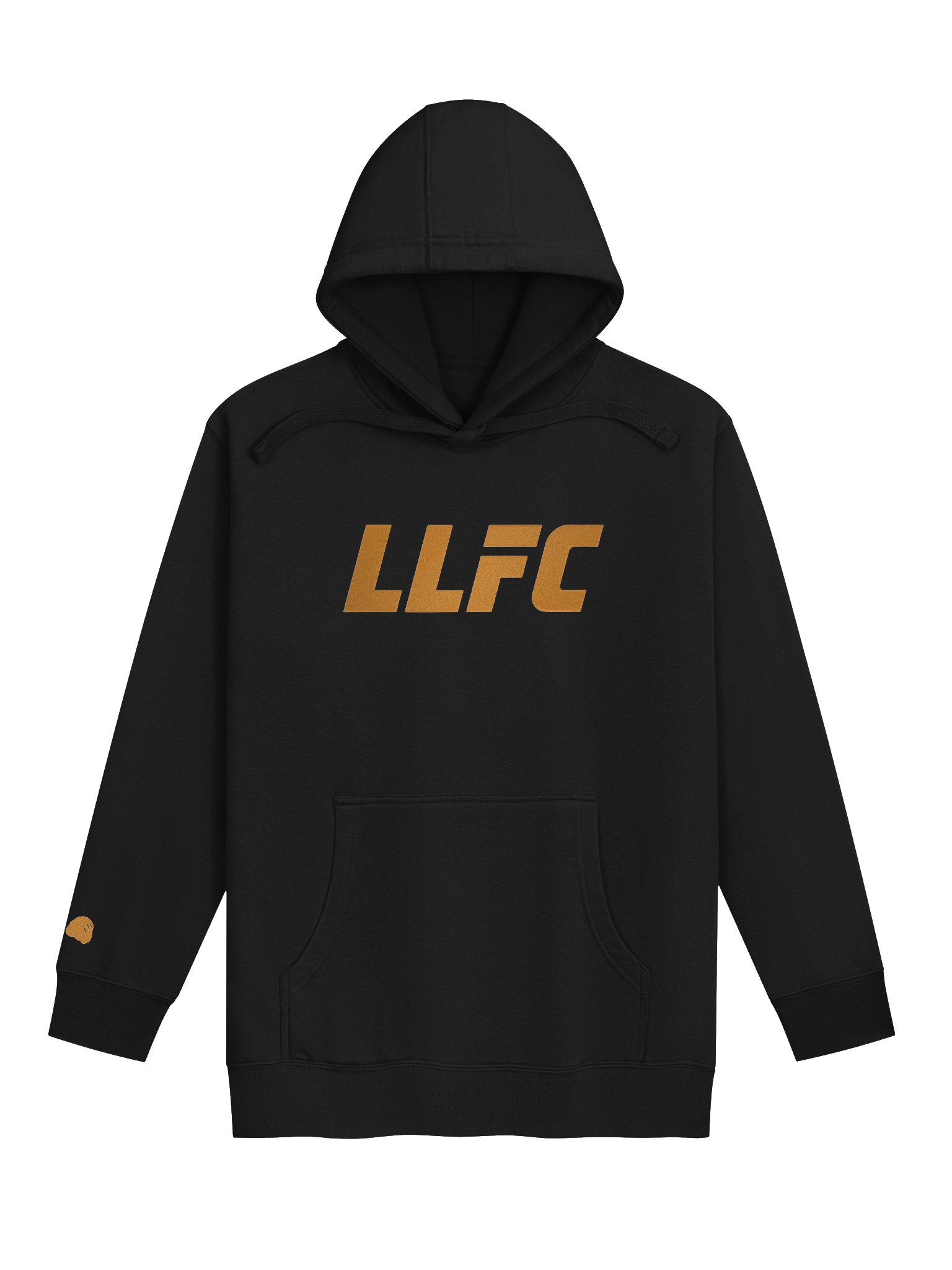 LLFC Champion Hoodie product image (1)