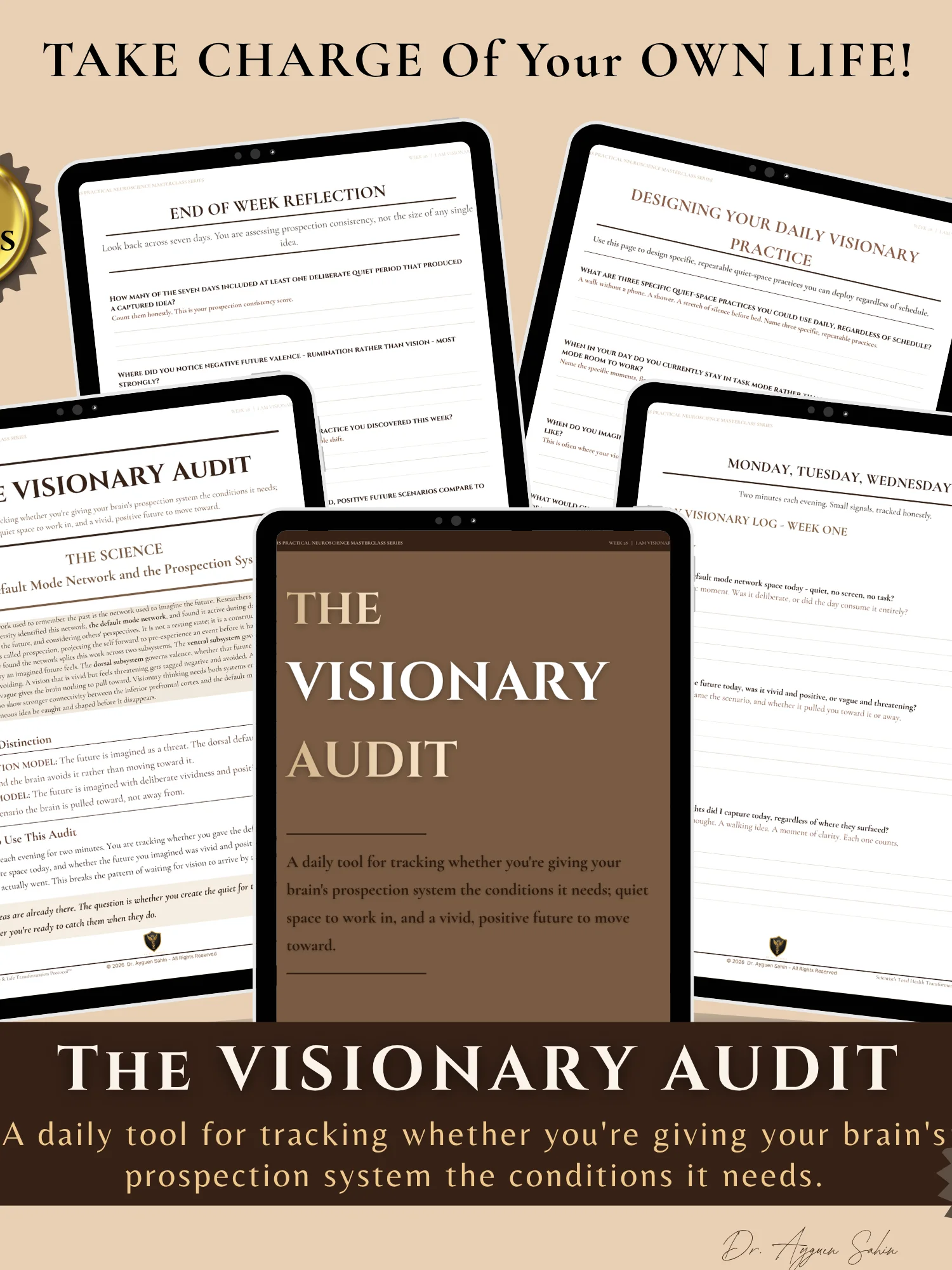 The VISIONARY Audit product image (2)