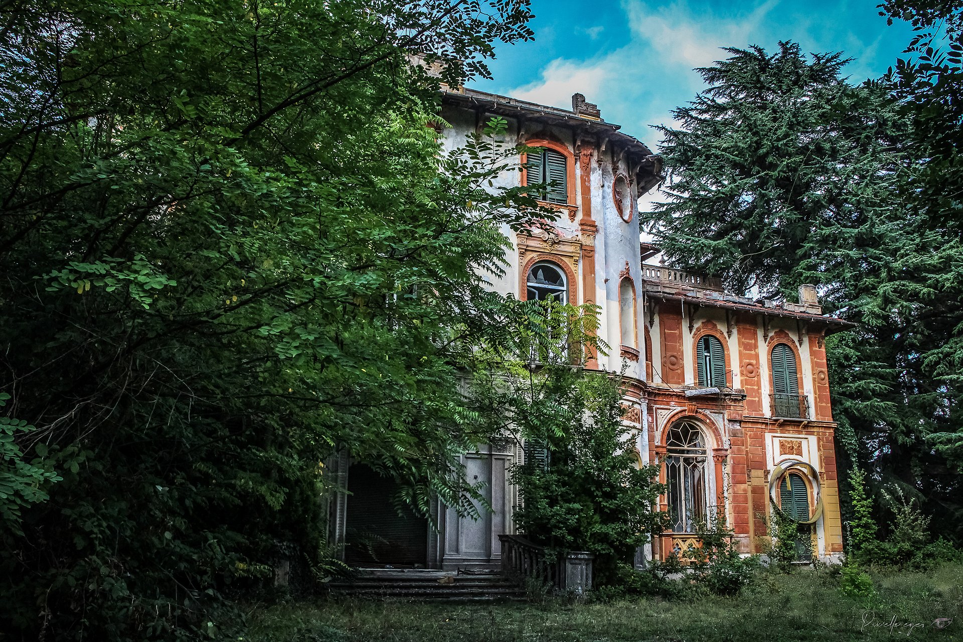 New Digital Product product image (1)